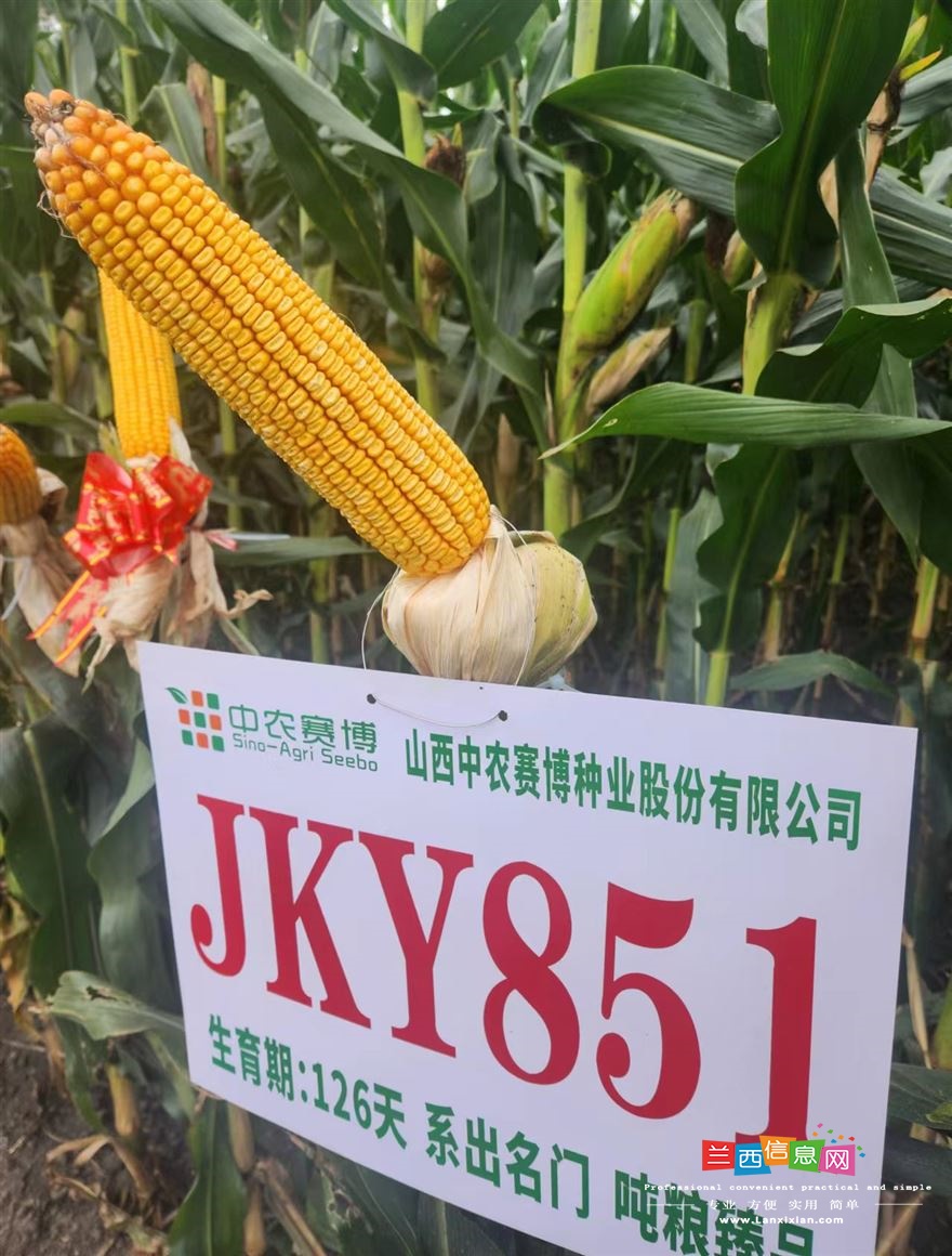 線上招聘快手抖音農(nóng)業(yè)主播